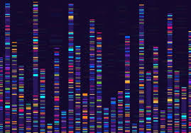 Exome sequencing
