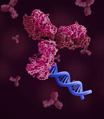 Protein-based detection